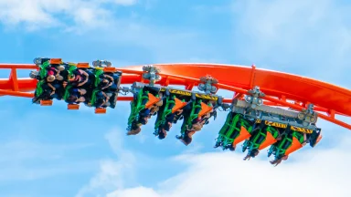 Tigris Ride at Busch Gardens, FL