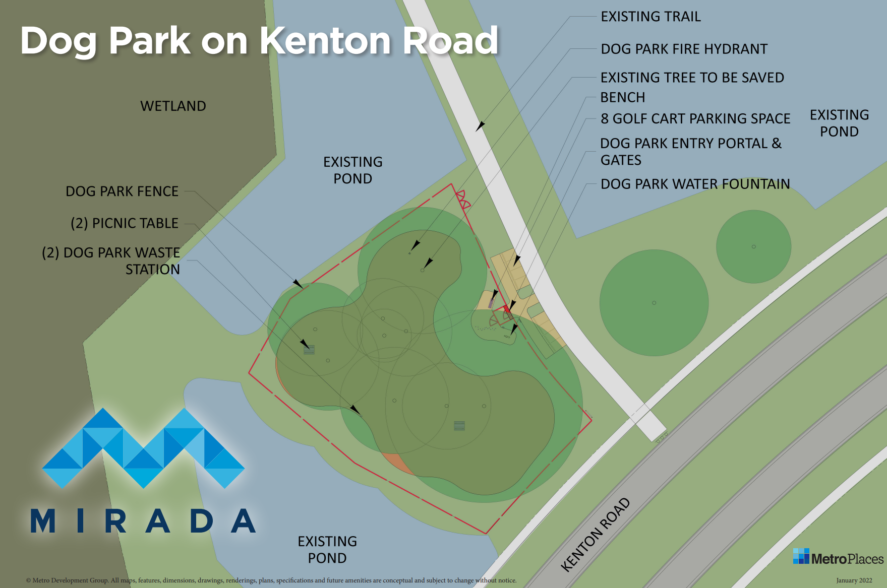 Visit a Dog Park in Tampa, FL