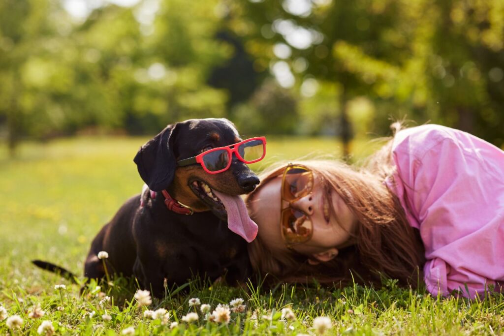 Fun Unleashed: 3 Reasons to Visit a Dog Park in Tampa, FL